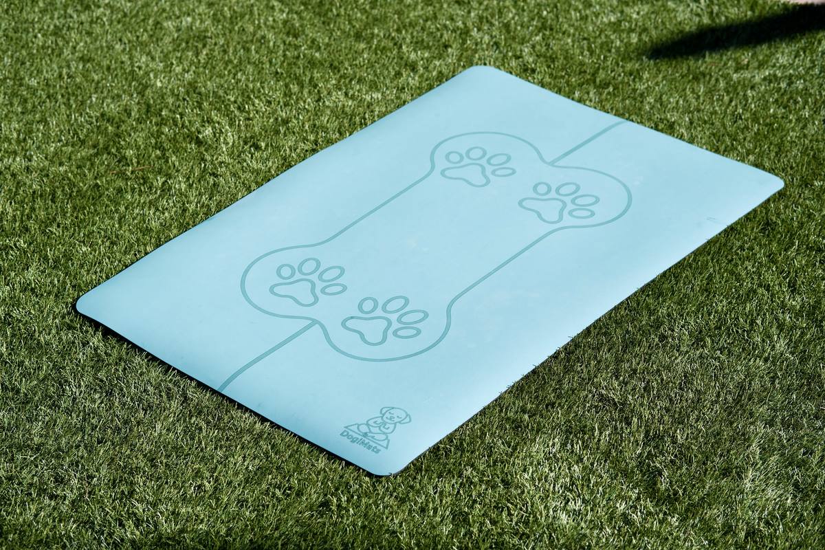 DogiMat on grass